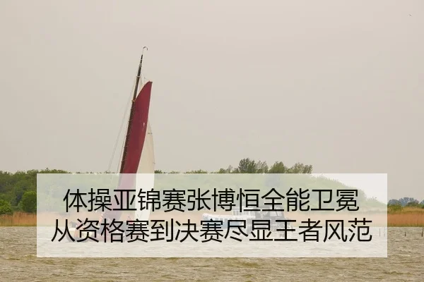 体操亚锦赛张博恒全能卫冕 从资格赛到决赛尽显王者风范